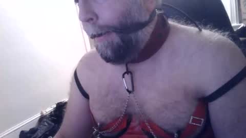 pleasurepuppt online show from 01-22-25, 02:48