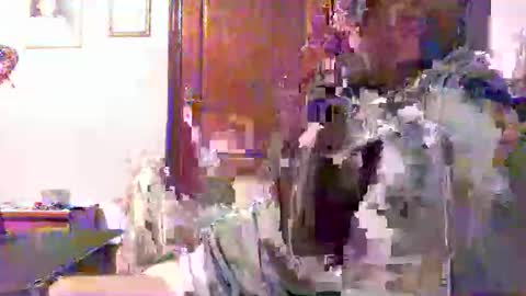 plu07f3520 online show from 04-09-26, 12:43