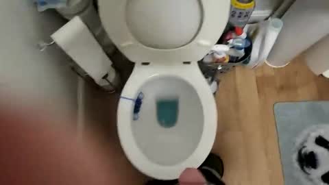 polishx42 online show from 02-02-26, 03:55