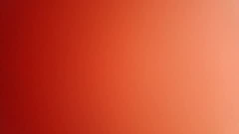 pop297248 online show from 04-14-26, 02:45