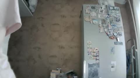 Bella online show from 05-27-26, 05:26