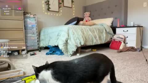 Sable online show from 03-30-26, 04:19