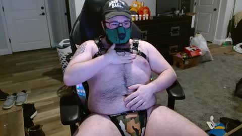Maine Bear Cub online show from 02-11-25, 04:33