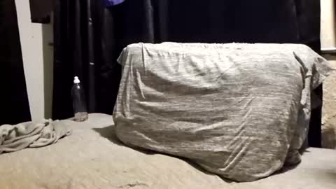 pupdoom9522 online show from 06-15-26, 08:49