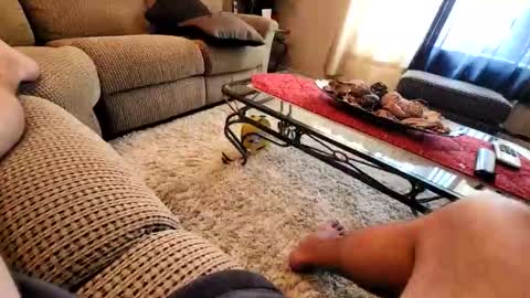 purdyguy7777 online show from 03-19-26, 07:40