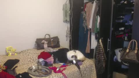 Nico online show from 02-13-25, 04:00