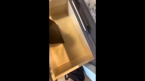 Rainbow Randolf online show from 11-22-25, 07:57