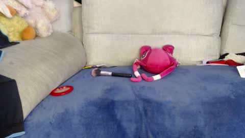 Ray  online show from 01-08-26, 06:32