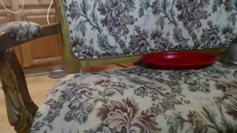 Ray online show from 02-01-26, 05:50