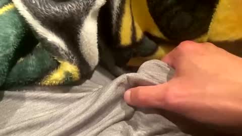 realbigload77 online show from 09-20-25, 02:23