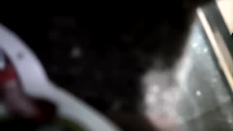 reba21 online show from 02-01-26, 11:58