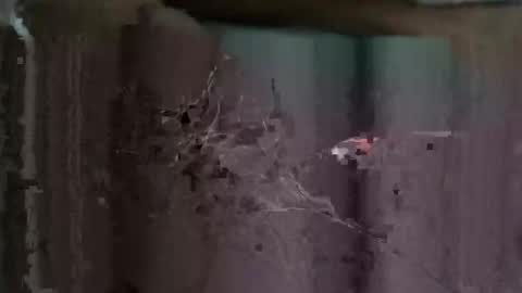 redhotslovesex online show from 10-26-25, 08:09