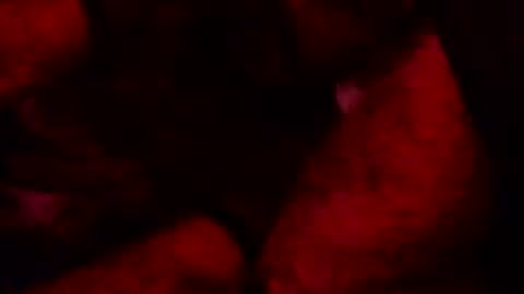 renuetto online show from 10-13-25, 05:40