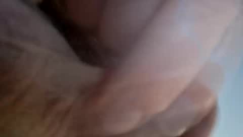 Snapshot of ridik2222333375562 chatting on 04-13-26, 02:28 ridik2222333375562 online show from 04-13-26, 02:28