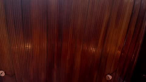 kamila online show from 12-24-24, 02:12