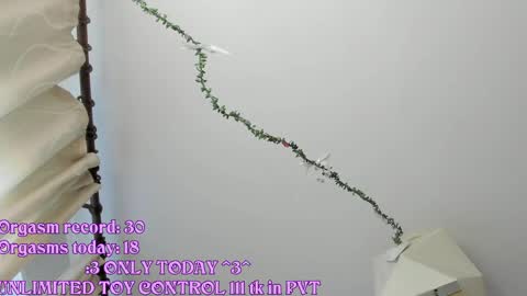 My name is Riley Like my broadcast pls 3 online show from 05-21-26, 03:24