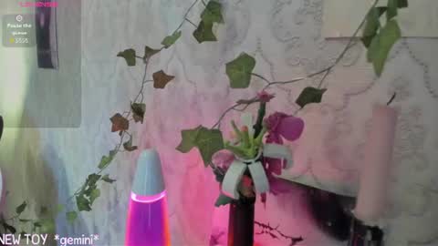 My name is Riley Like my broadcast pls 3 online show from 07-25-26, 03:15