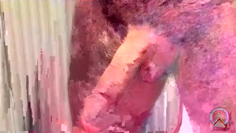 ritto44 online show from 05-15-26, 11:12