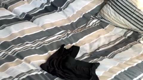 rob616580 online show from 01-13-26, 10:53