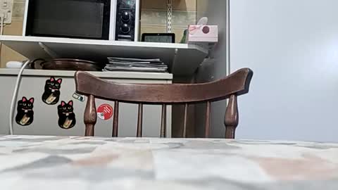 robke1966 online show from 03-24-26, 06:51