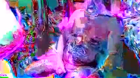 rocky082288 online show from 12-08-24, 12:41