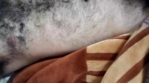 Snapshot of rockyp2025 chatting on 03-03-25, 12:05 rockyp2025 online show from 03-03-25, 12:05