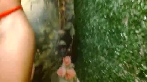 Snapshot of rosa_skinny chatting on 04-18-26, 02:59 rosa online show from 04-18-26, 02:59