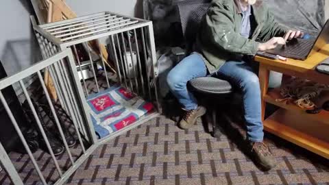 RoughnBootz online show from 02-06-25, 11:37