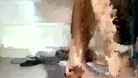 Snapshot of rumel_desi chatting on 12-05-24, 06:33 tareq online show from 12-05-24, 06:33