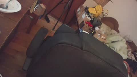 1141323  my Lord Mister Max   moms treasure online show from 08-06-26, 06:04