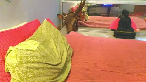 xxSeXSouLxx online show from 05-30-26, 01:57