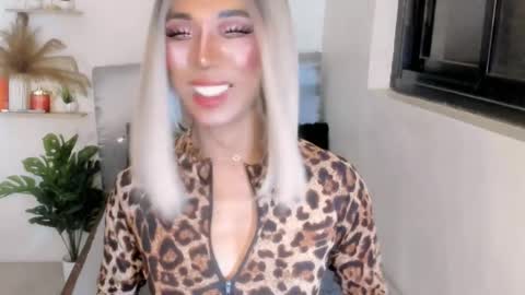 sahayafox online show from 04-09-26, 07:19