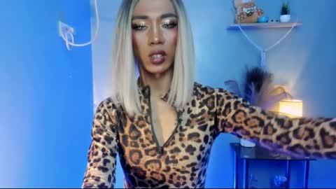 sahayafox online show from 04-29-26, 05:55