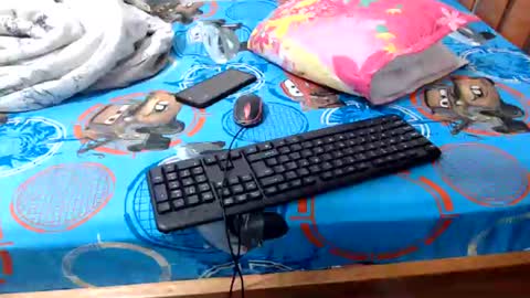 Snapshot of sallie_ chatting on 06-29-26, 10:48 naomi online show from 06-29-26, 10:48