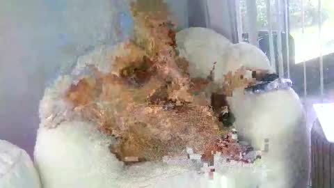 Samatha James online show from 03-31-26, 07:03