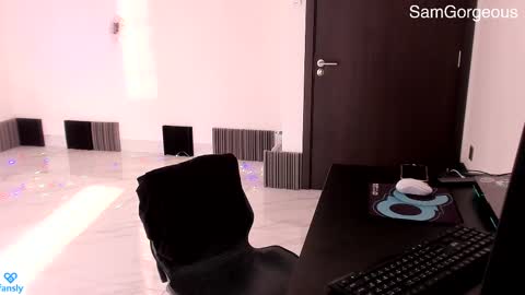 Snapshot of samgorgeous chatting on 03-04-25, 08:46 Fansly - Top4fans online show from 03-04-25, 08:46