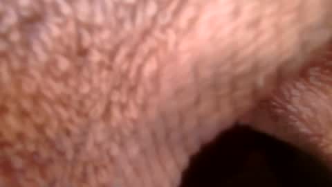 Snapshot of samueltal chatting on 02-21-26, 09:21 samueltal online show from 02-21-26, 09:21