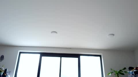 safir online show from 05-14-26, 07:42