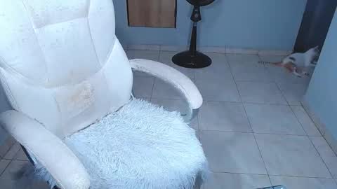 Sara online show from 02-15-26, 07:10