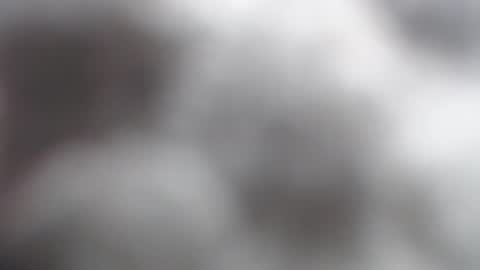 savagebarbie01 online show from 11-02-25, 10:06