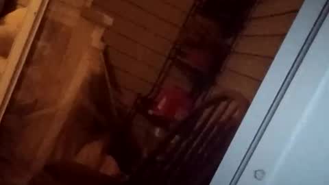 savy5150 online show from 04-13-26, 05:02