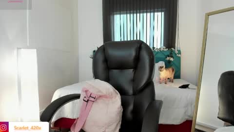 Scarlett online show from 05-18-26, 12:00
