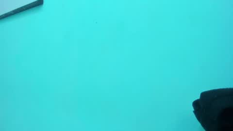 scarlett_fox20 online show from 05-13-26, 01:30