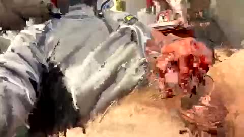 scottj603603 online show from 02-18-26, 06:59