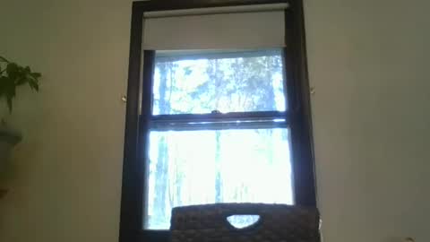 scottpbi52 online show from 02-07-25, 07:27