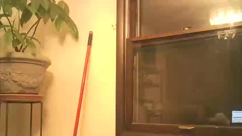 scottpbi52 online show from 09-28-25, 03:45