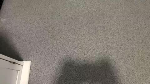 scottyc48 online show from 11-12-25, 02:39