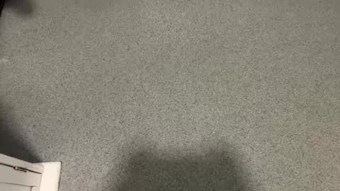 scottyc48 online show from 12-17-25, 11:05