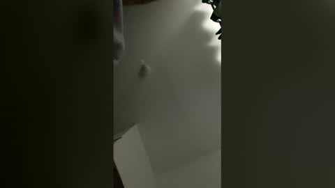 sedaliasens online show from 03-09-26, 07:45