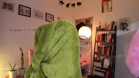 Snapshot of segismunda chatting on 07-02-26, 09:54 Luciana online show from 07-02-26, 09:54